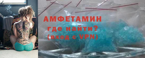 твердый Гусев