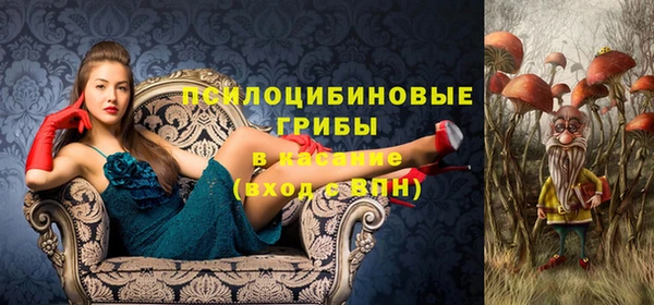 крисы Гусь-Хрустальный