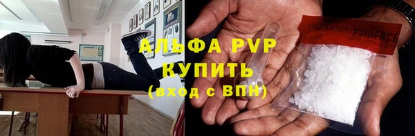 твердый Гусев