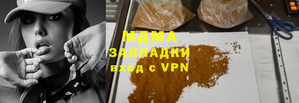 твердый Гусев