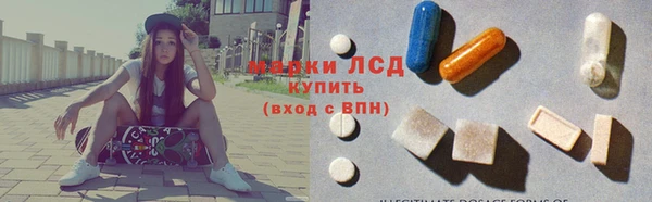 твердый Гусев