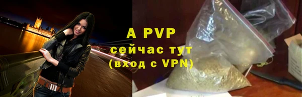 твердый Гусев
