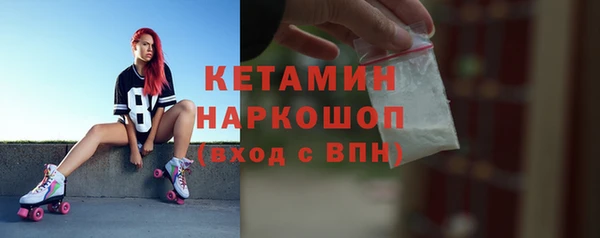 твердый Гусев