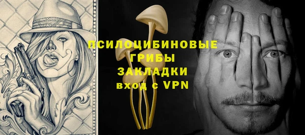 крисы Гусь-Хрустальный