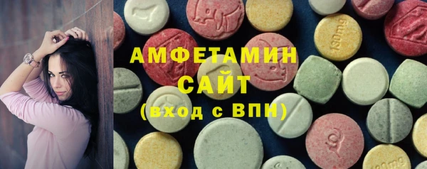 твердый Гусев