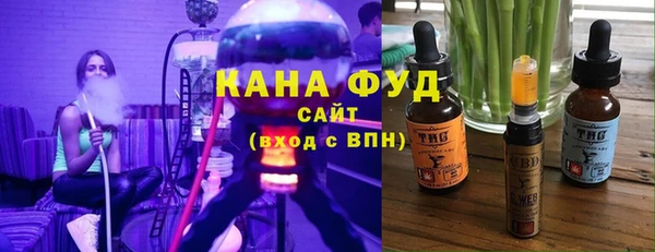 твердый Гусев