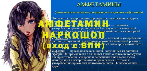 твердый Гусев