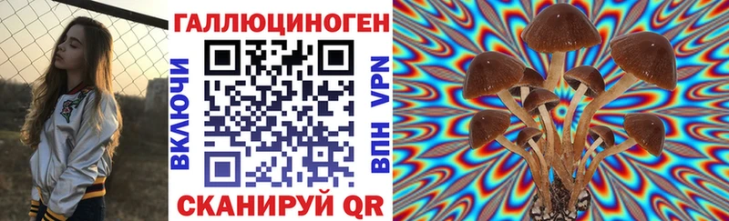 Купить  Новоульяновск  Галлюциногенные грибы Cubensis 
